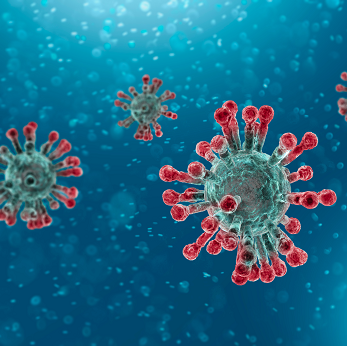 Photo du virus de la covid