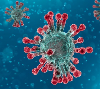 photo du virus de la covid