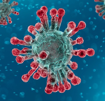 Photo du virus de la covid