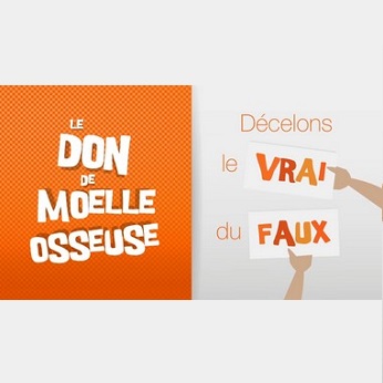 Visuel "Le don de moelle osseuse, décelons le vrai du faux"
