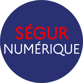 Logo du Ségur numérique