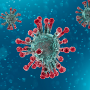 photo du virus du covid