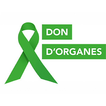 Don d'organes