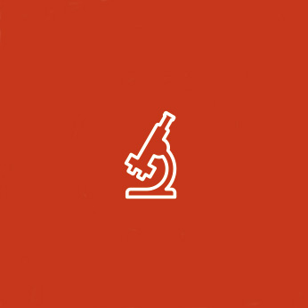 Pictogramme illustrant un microscope