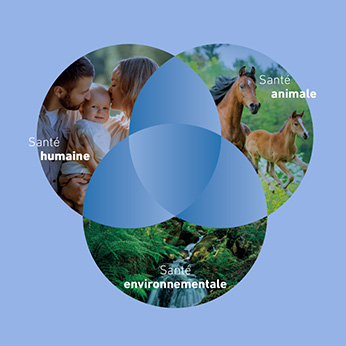 Représentation de la démarche "Une seule santé"