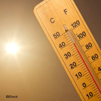 Photo d'un thermomètre affichant 38°C