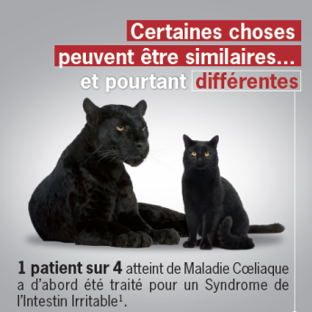 Photo de la campagne pour informer sur le gluten avec texte : 1 patient sur 4 atteint de Maladie Coeliaque a d'abord été traité pour un Syndrome de l'intestin Irritable"