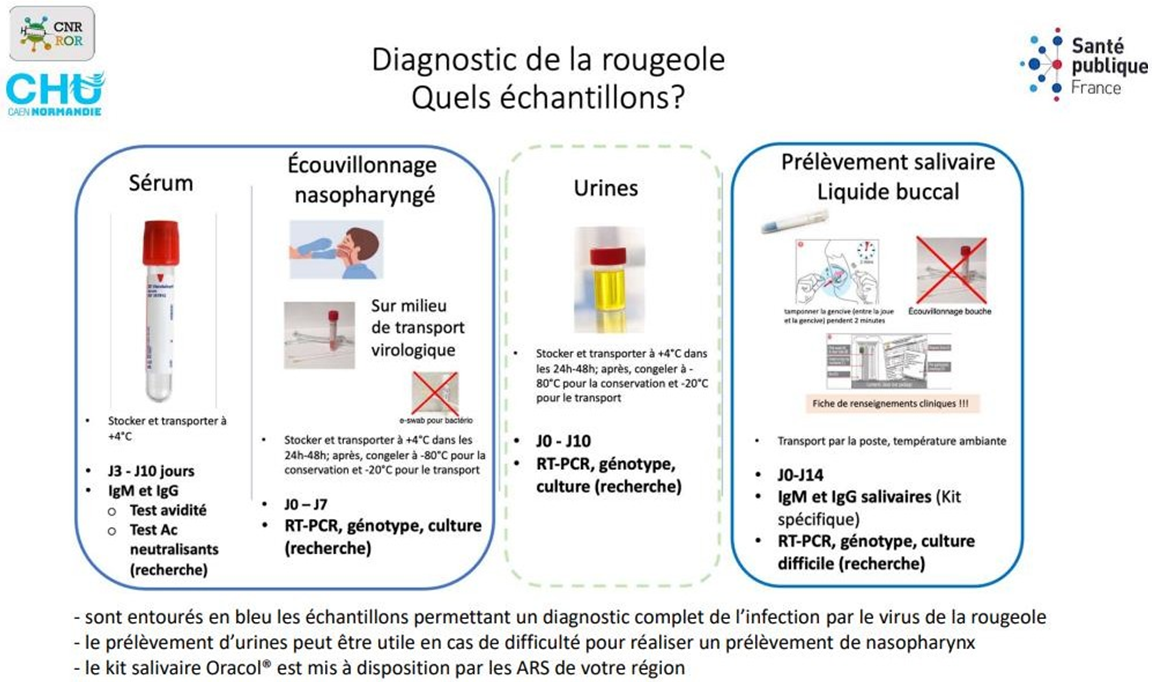 échantillon biologique.png