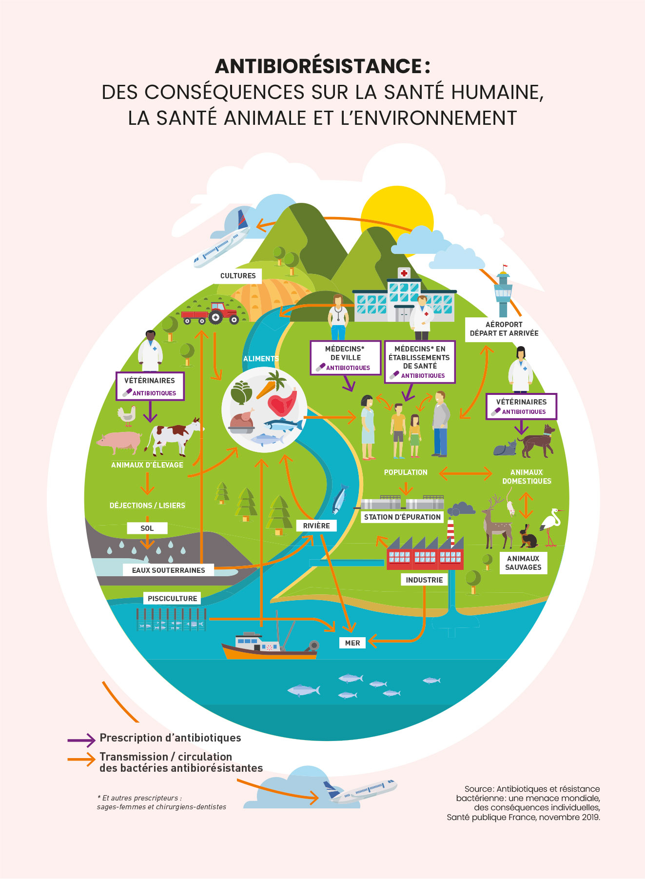 Infographie