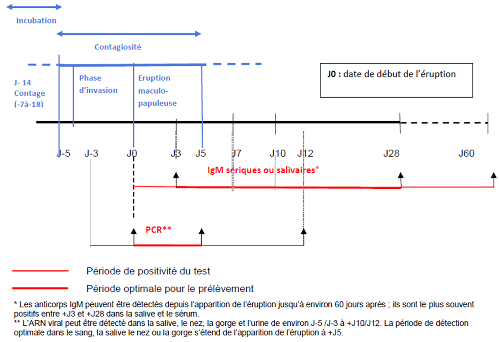 evolution clinique et biologique.png