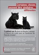 Affiche sur la maladie coeliaque