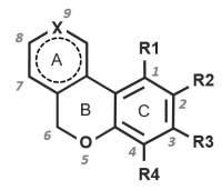 Molécule de benzo[c]chromène