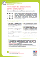 Infographie présentant la prévention en cas d'intoxication par des champignons