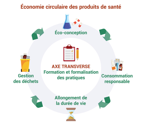logigramme-ecologie_v4.jpg