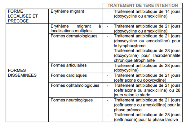 Tableau présentant les traitements à prendre dans le cas de la maladie de Lyme et en fonction de la forme de la maladie